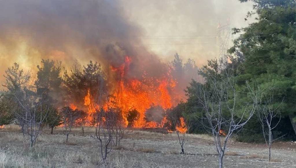 Çanakkale'de orman yangını paniği!