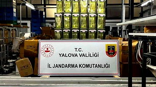 Yalova’da 33 bin litre sahte zeytinyağı ele geçirildi