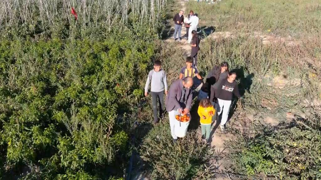 Markette sebzeleri pahalı bulan vatandaşlar soluğu tarlalarda aldı...