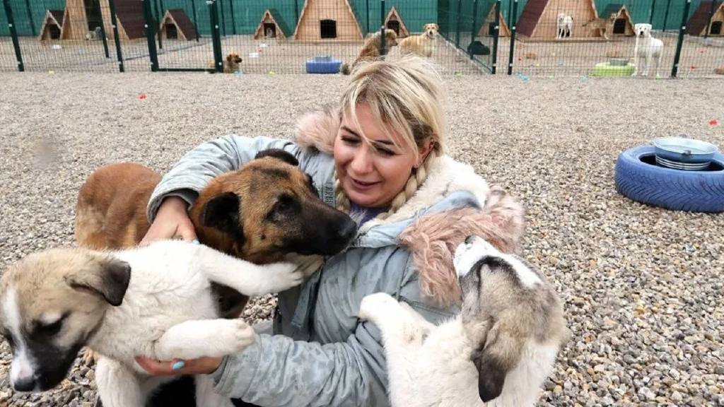 Kuduz şüphesiyle alınan köpekler Ankara'ya taşındı, Buket Özgünlü'nün yargılanması sürüyor...