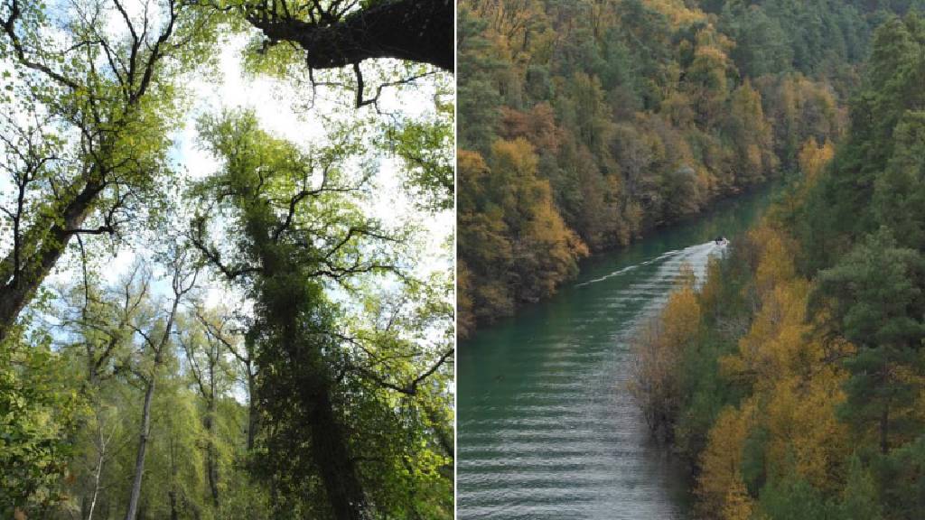 Dünyada ve Türkiye'de sadece Muğla ve Burdur'da bulunuyor! Eşsiz güzelliği ile göz kamaştırıyor...