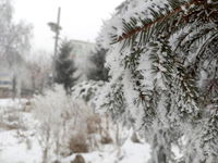 Sibirya soğukları, Ardahan'ı vurdu!