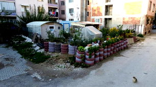 Hatay'da atık lastiklerden umut bahçesi! Deprem yıkıntıları çiçeklerle güzelleşti...