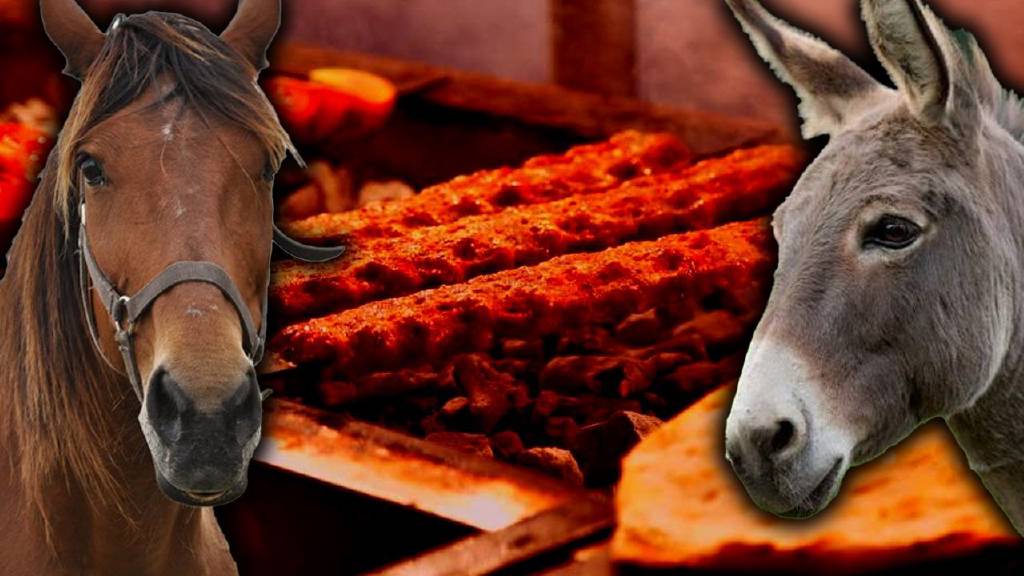 Gıda skandalı! Türkiye'de en çok at, eşek ve domuz eti yediren iller açıklandı...