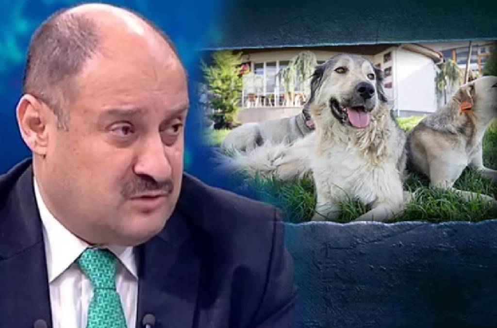 Kasım Gülpınar, hayvan yasasını çiğneyecek… ‘Şanlıurfa’da uygulatmam’