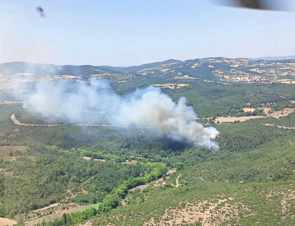 Balıkesir'de korkutan orman yangını! Alevlere, havadan ve karadan müdahale ediliyor