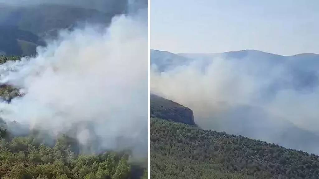 Muğla'da orman yangını paniği!
