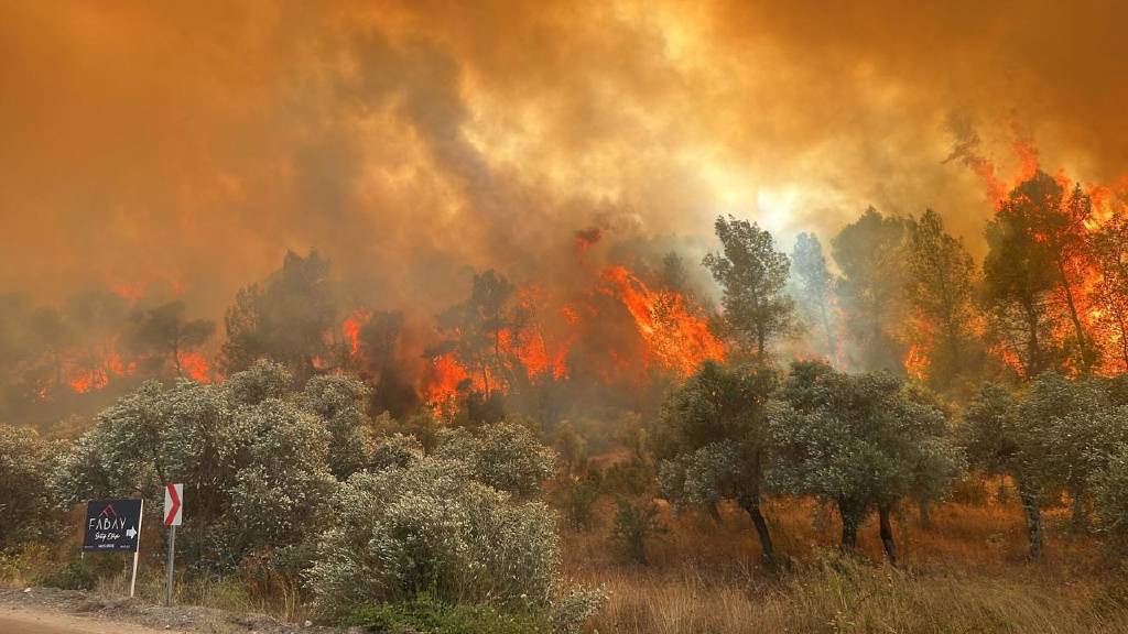 5 ilde orman yangını! Bergama’da kaza yapan ekipten 1 kişi yaşamını yitirdi, İzmir’e uçak seferleri aksıyor