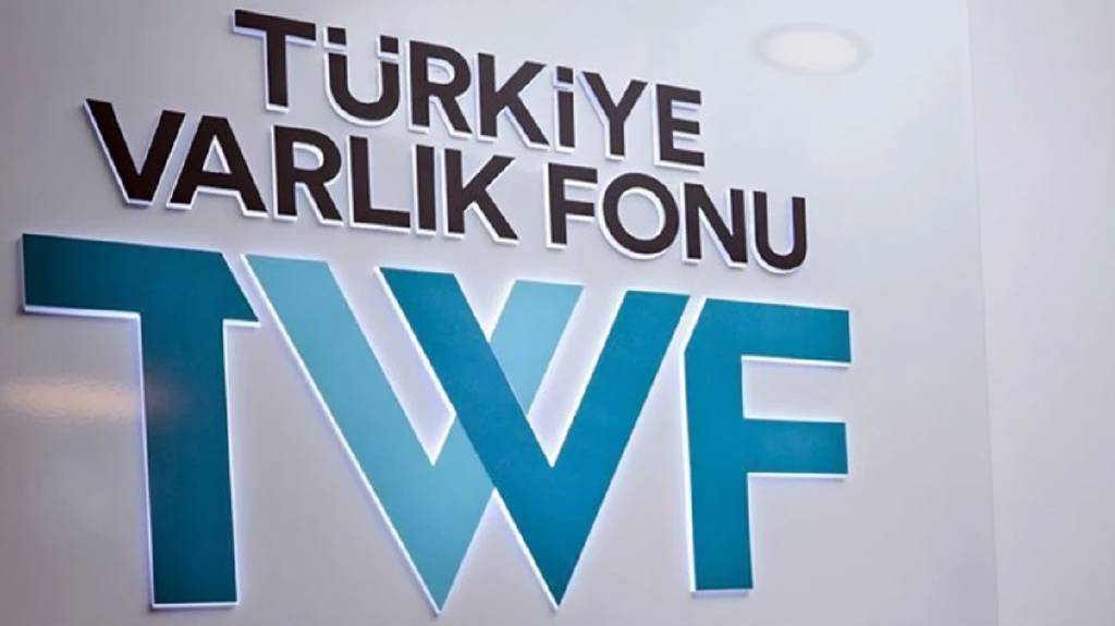 12 şirketin hisseleri Varlık Fonu'na aktarıldı