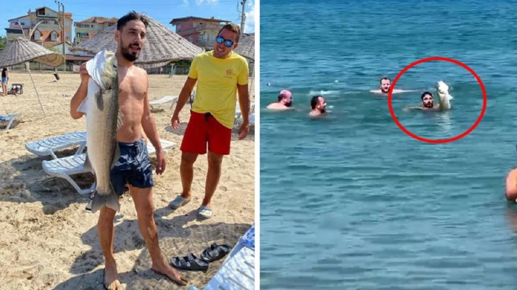 Görüntü Türkiye'den! Yüzerken eliyle yakaladı...