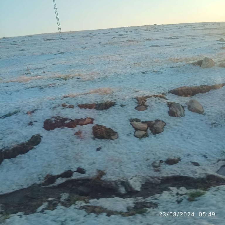 Ardahan’ı dolu vurdu, arazi ve yollar beyaza büründü...