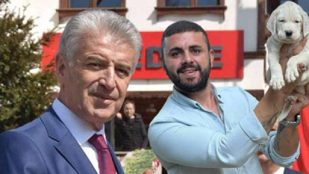 Belediye başkanının yeğeni trafik kazasında yaşamını yitirdi
