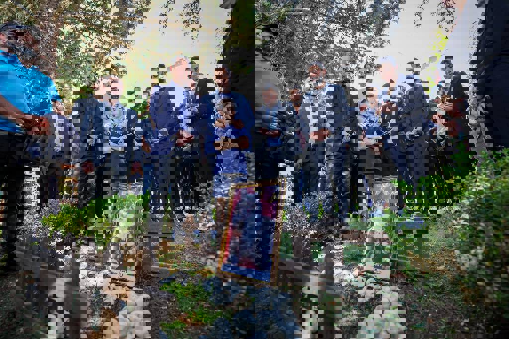 CHP'nin kedisi 'Şero' genel merkez bahçesine defnedildi… Cenaze töreninde dikkat çeken anlar!