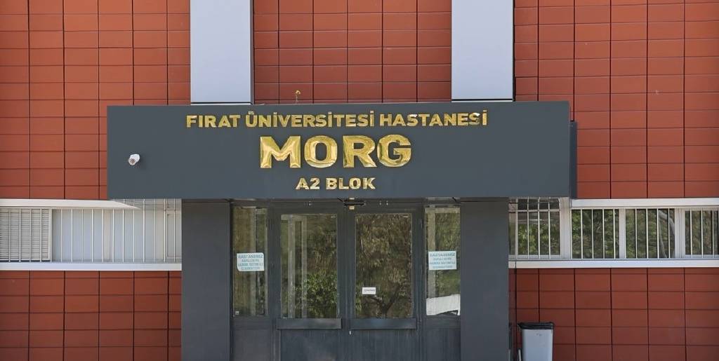 Muş'taki bir düğün konvoyunda ateşlenen mermi, 7 yaşındaki Nisa'yı hayattan kopardı…