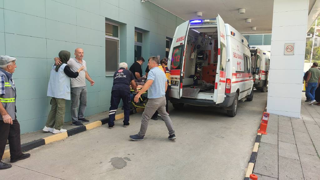 Kastamonu’da ağaç keserken seken motorlu testere dede ve torununu hastanelik etti