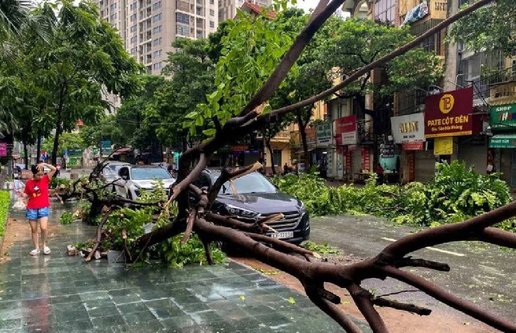 Vietnam’da can kaybı 226’ya yükseldi