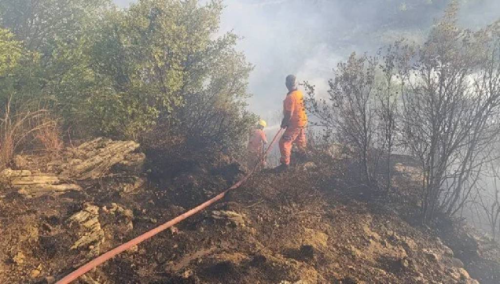 Antalya'da orman yangını paniği