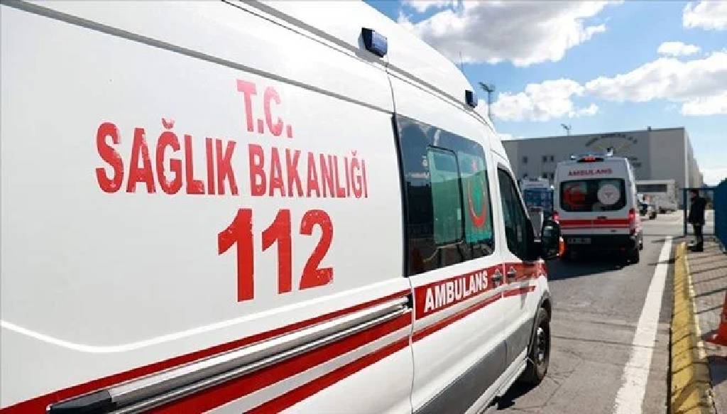 Gümüşhane'de kamyonet uçuruma devrildi: 2 ölü
