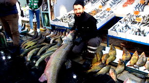 1 metre 65 santim uzunluğunda, tam 120 kilo! Batman'da balıkçılar turnayı gözünden vurdu...