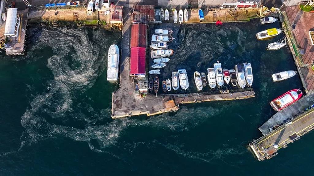 Marmara Denizi'nde tehlike geri döndü! Müsilaj yeniden ortaya çıktı...