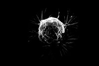 Yeni nesil kanser aşısı, agresif tümörlerin yüzde 88’ine kadarını önleyebiliyor