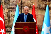 "İsrail'in Somaliland'ı tanıma kararı gayrimeşrudur"