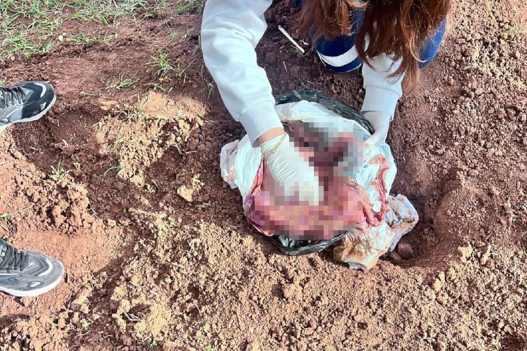 Şırnak’ta yeni doğan bebeğini boğup, araziye attı! Katil anne tutuklandı...