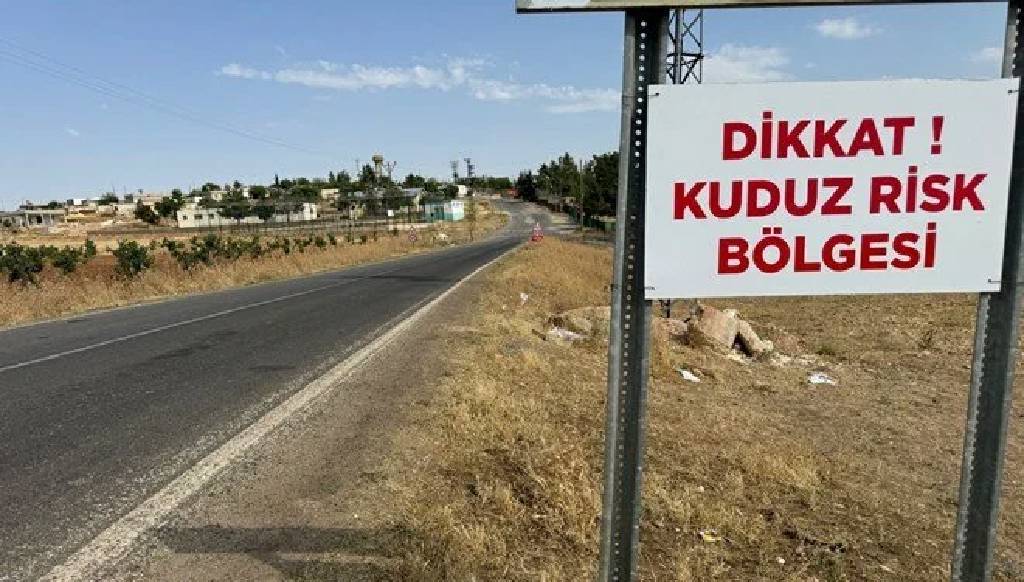 Şanlıurfa'da kuduz alarmı: 3 kişiye köpek saldırdı, köy karantinaya alındı