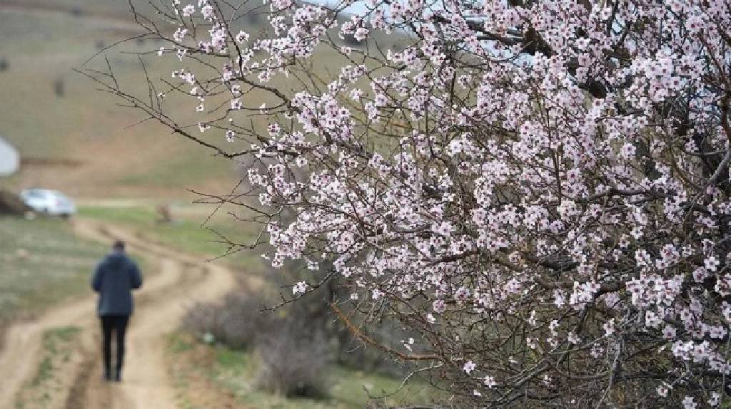 Baharı bekleyenlere müjde! Güneş, yüzünü göstermeye devam edecek…