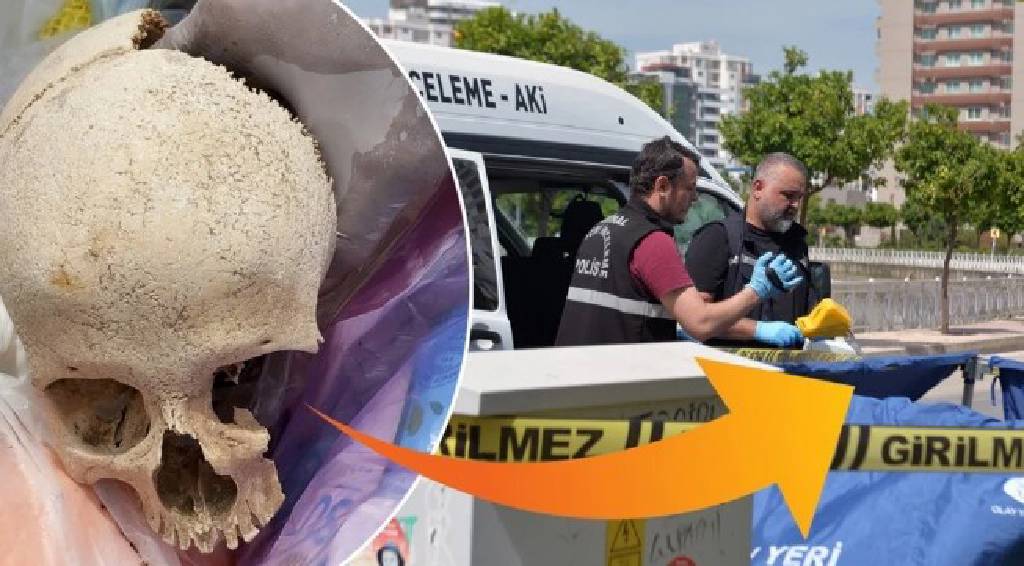Adana’daki bir sitenin çöpünden kafatası çıktı!