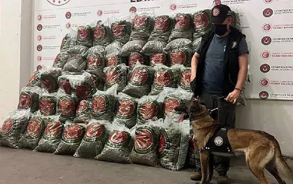Ticaret Bakanlığı'ndan dev operasyon! 418 milyon TL’lik uyuşturucu ele geçirildi…
