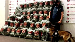 Ticaret Bakanlığı'ndan dev operasyon! 418 milyon TL’lik uyuşturucu ele geçirildi…