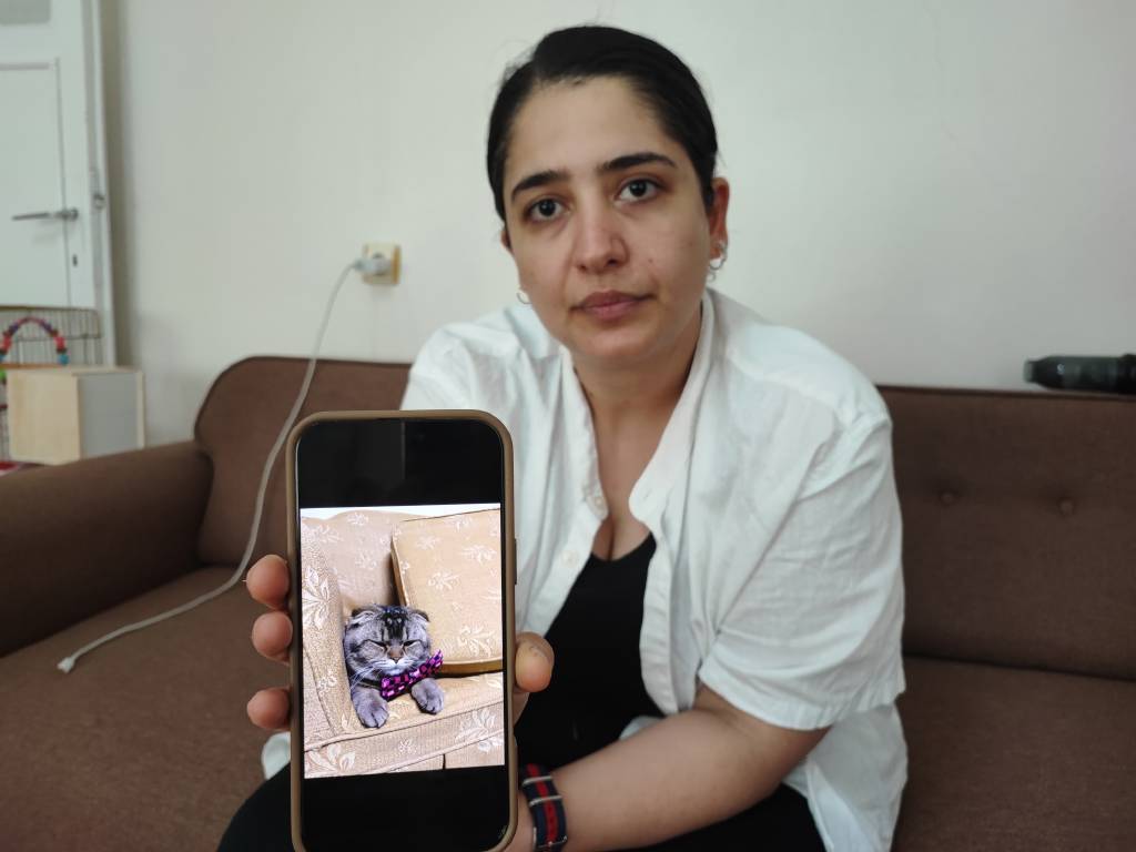 Adana’da ilginç bir olay! Kayıp kedi bulunmazsa, kocası boşayacak…