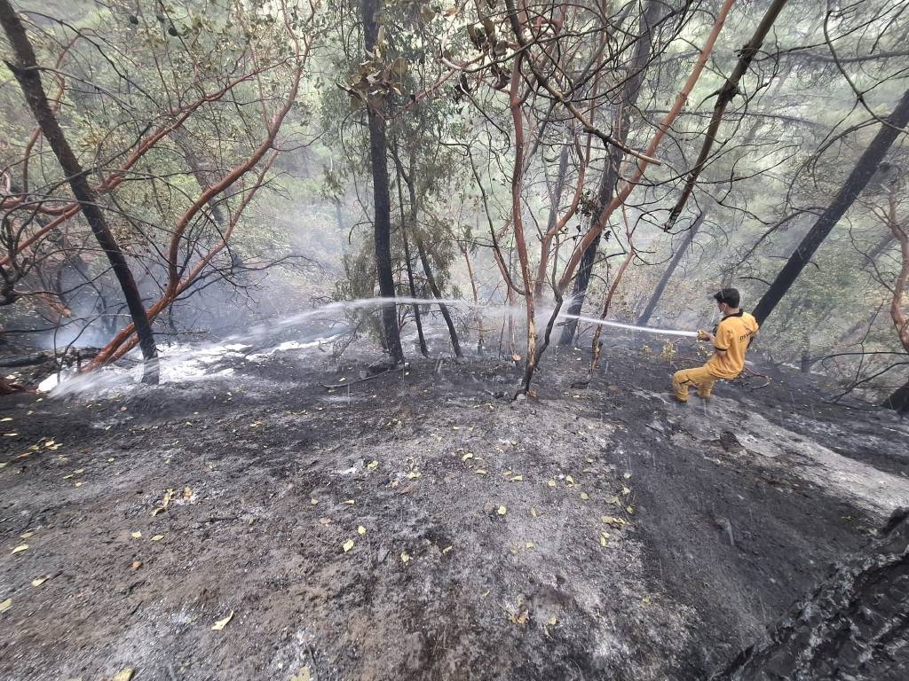 Kahramanmaraş’ta yangın: 5,5 hektar zarar gördü