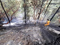 Kahramanmaraş’ta yangın: 5,5 hektar zarar gördü