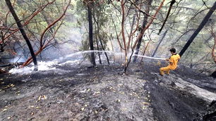 Kahramanmaraş’ta yangın: 5,5 hektar zarar gördü