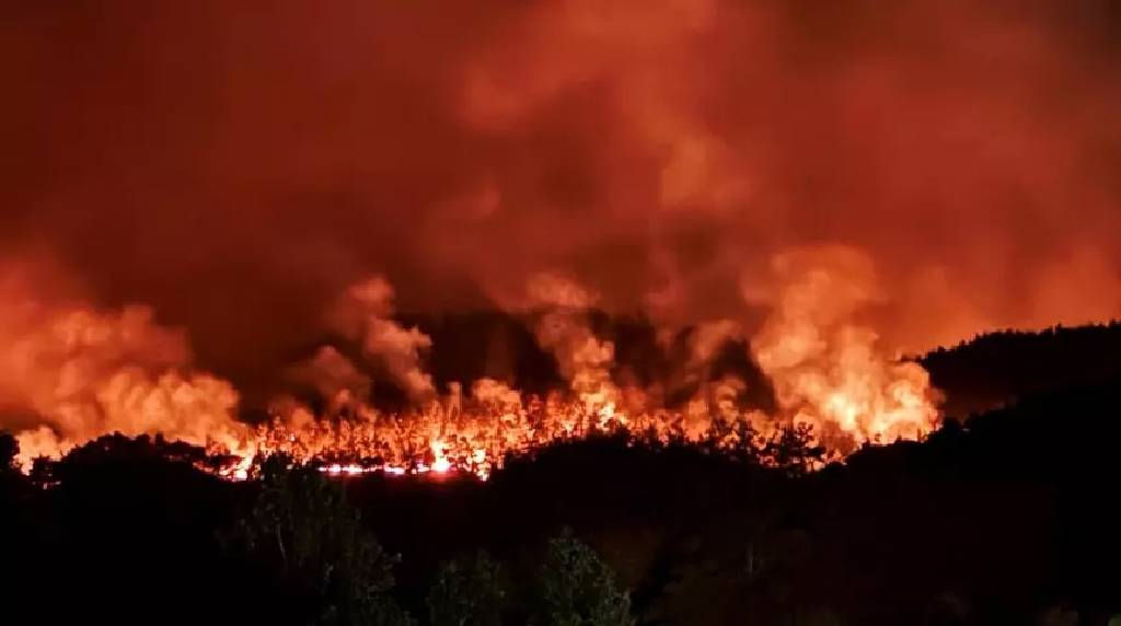 Sakarya ve Bilecik’te yangın alarmı: Köyler boşaltılıyor