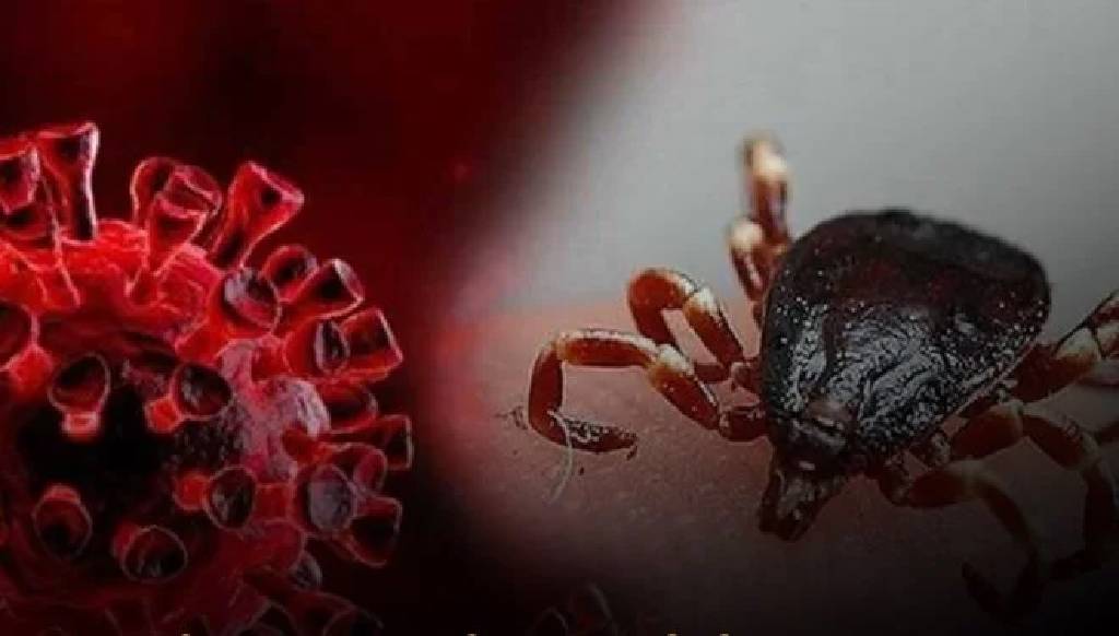 Sivas’ta kene alarmı: 30 yaşındaki genç hayatını kaybetti