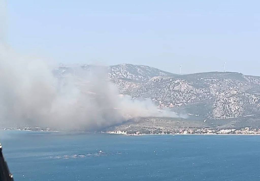 İzmir'de orman yangını