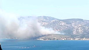 İzmir'de orman yangını