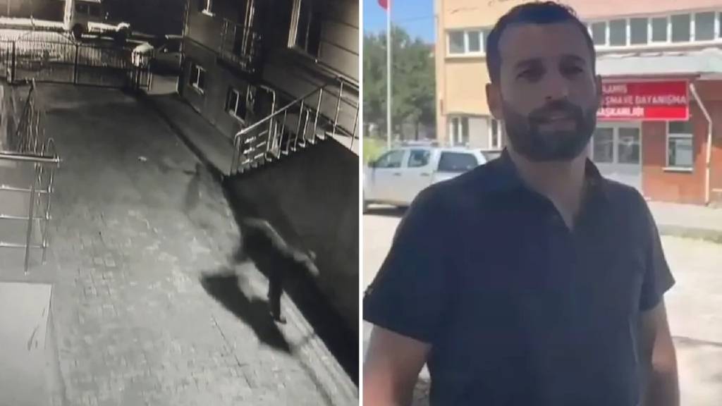 Kars'ta siteye ayı girdi: "Bağırarak üzerimize geldi"