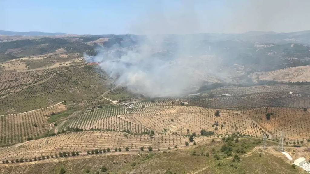 İzmir Seferihisar'da orman yangını