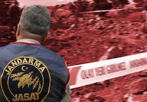 user header