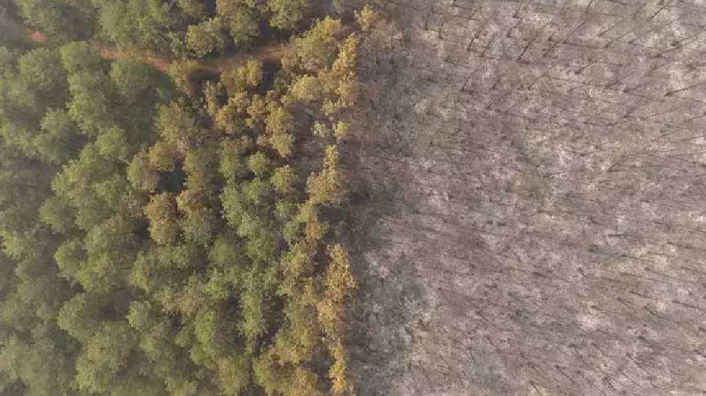 Bursa’da orman yangını 4. gününde: Yanan alanlar drone’la görüntülendi