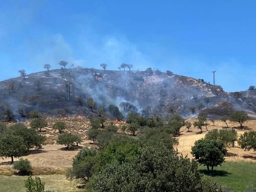 Çanakkale'de makilik alanda korkutan yangın
