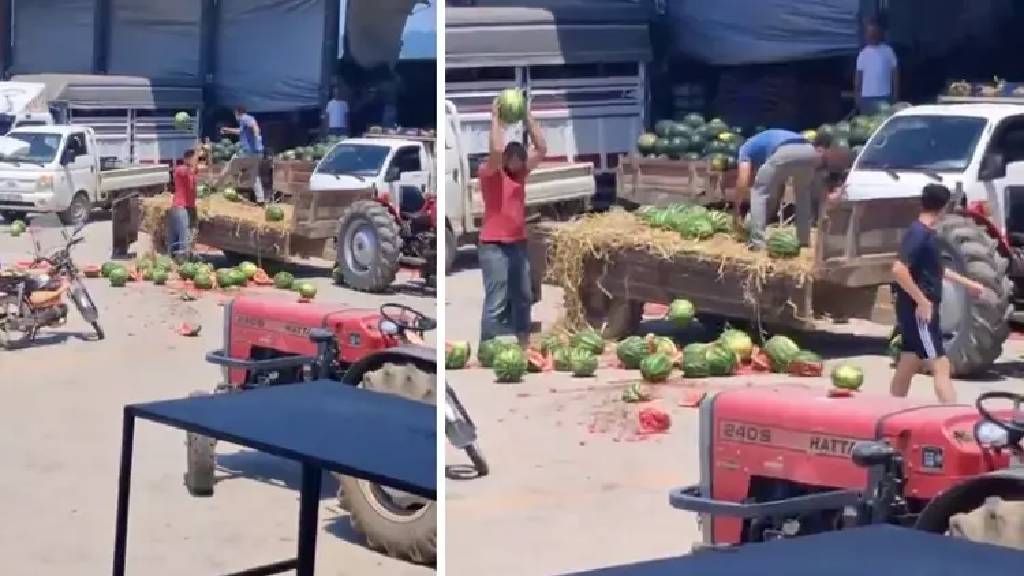 Sakarya’da karpuz skandalı: Çiftçilere 34 milyon TL ceza yolda!