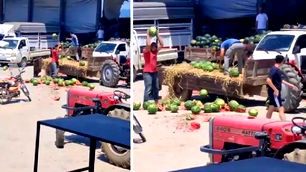 Sakarya’da karpuz skandalı: Çiftçilere 34 milyon TL ceza yolda!