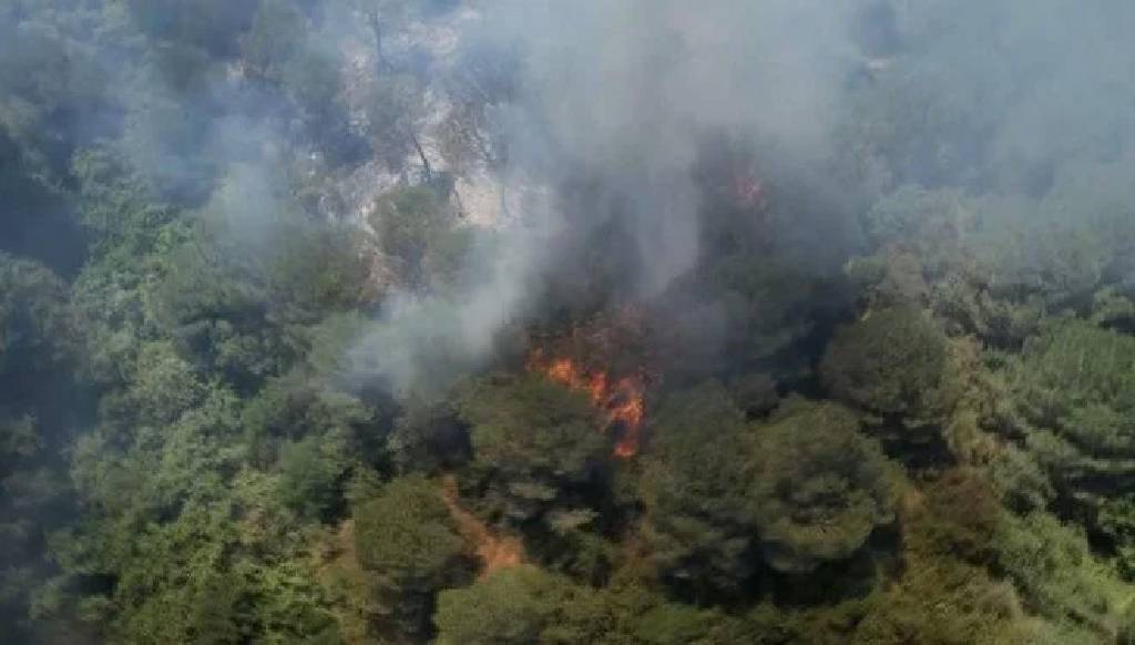 İstanbul'da orman yangını: Piknikçiler tahliye ediliyor