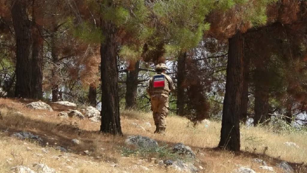 Mehmetçik orman yangınlarına karşı sahada nöbette