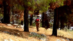 Mehmetçik orman yangınlarına karşı sahada nöbette
